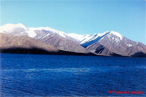 Pangong lake Yasmin Ladakh