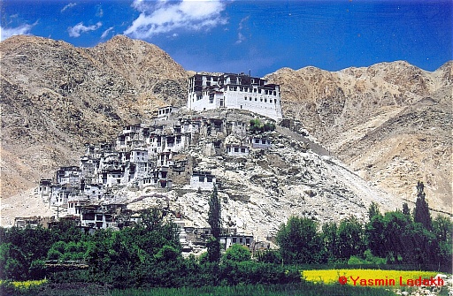Ladakh monasteries Yasmin Ladakh