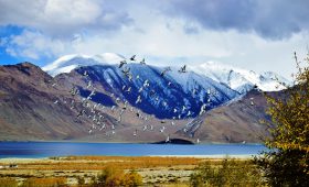 Ladakh Expeditions